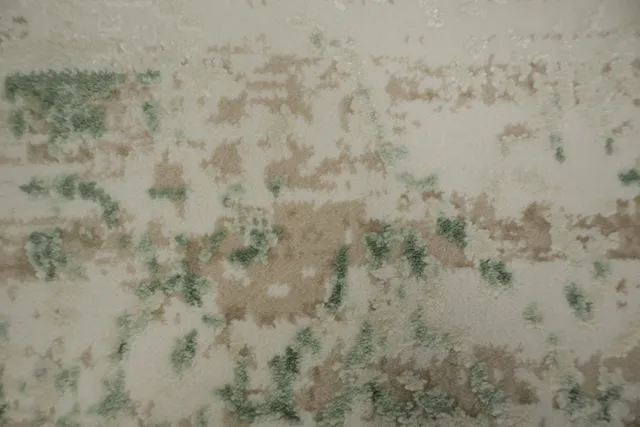 https://image-static-obj.rugsource.com/small/166526_3285558_a3581579.jpeg