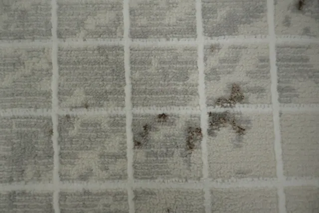 https://image-static-obj.rugsource.com/small/166679_3278210_ac93ec61.jpeg