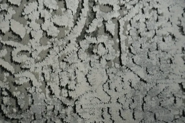 https://image-static-obj.rugsource.com/small/166700_3276278_31d1bdf0.jpeg