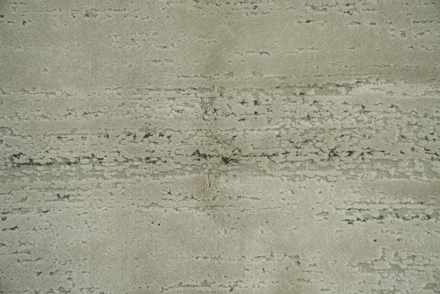 https://image-static-obj.rugsource.com/small/166764_3279259_101a0a82.jpeg