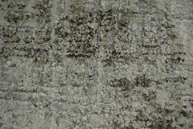 https://image-static-obj.rugsource.com/small/166870_3281828_e9d72e5d.jpeg