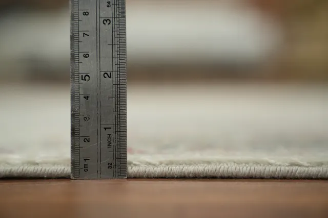https://image-static-obj.rugsource.com/small/166883_3283546_87366384.jpeg