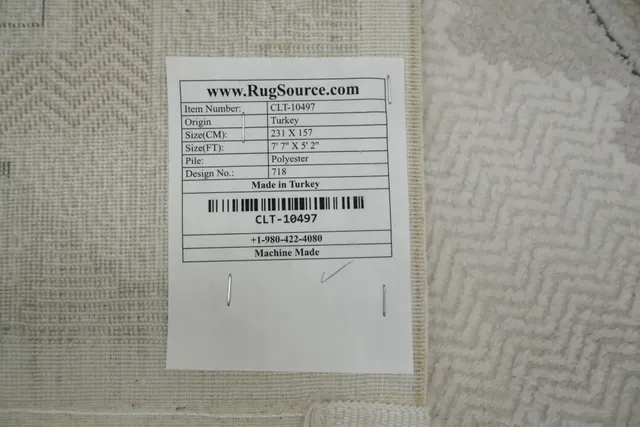 https://image-static-obj.rugsource.com/small/166911_3280847_69972934.jpeg