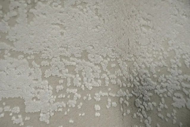 https://image-static-obj.rugsource.com/small/166918_3288418_cf19728e.jpeg