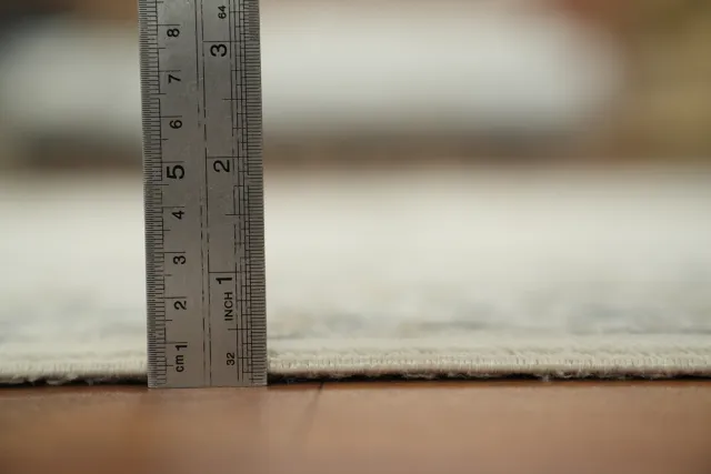https://image-static-obj.rugsource.com/small/166943_3282890_93909776.jpeg