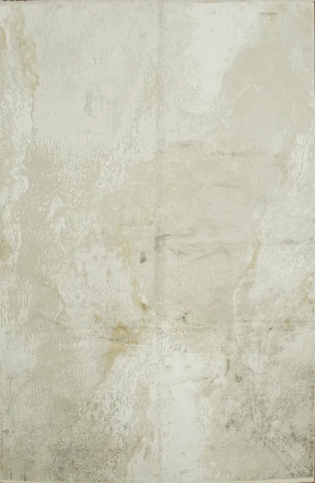 https://image-static-obj.rugsource.com/small/166977_3281565_7d8e611d.jpeg