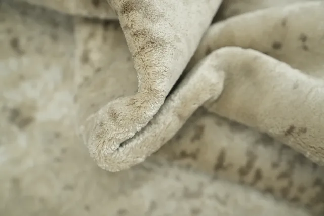 https://image-static-obj.rugsource.com/small/166984_3281677_54c0dc3d.jpeg