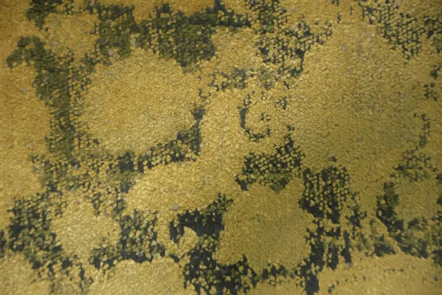 https://image-static-obj.rugsource.com/small/167001_3282569_5806a47f.jpeg