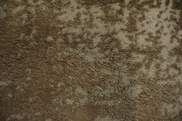 https://image-static-obj.rugsource.com/small/167011_3283832_2cc9439d.jpeg