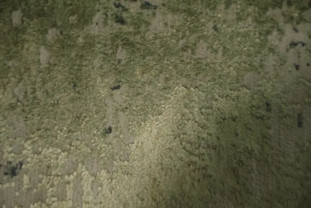 https://image-static-obj.rugsource.com/small/167015_3283898_1256e164.jpeg