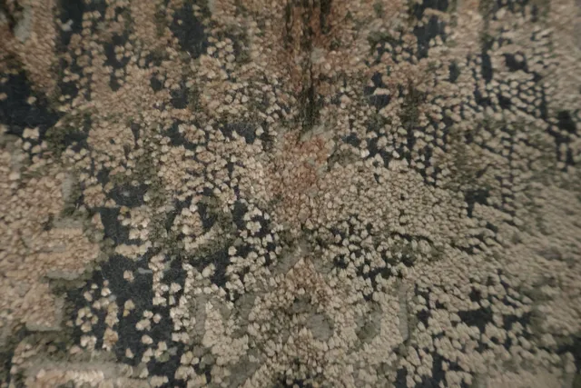 https://image-static-obj.rugsource.com/small/167032_3282595_aa71ac31.jpeg