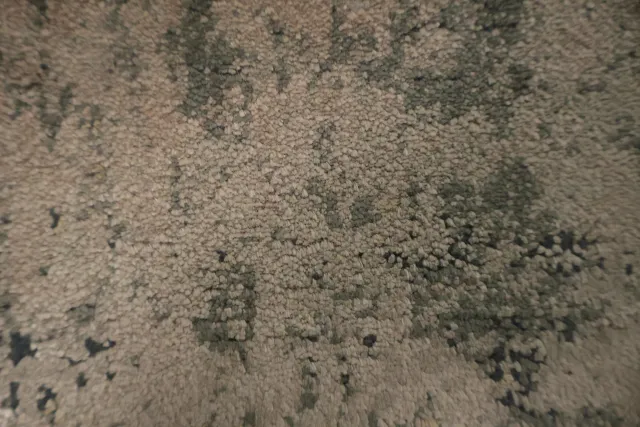 https://image-static-obj.rugsource.com/small/167034_3282621_3f139ea8.jpeg