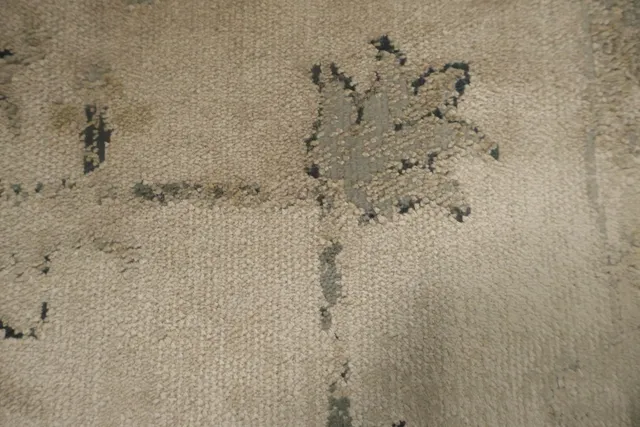 https://image-static-obj.rugsource.com/small/167035_3293809_a97fbb4e.jpeg