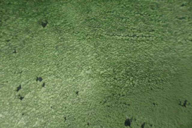 https://image-static-obj.rugsource.com/small/167042_3283035_068c86ab.jpeg