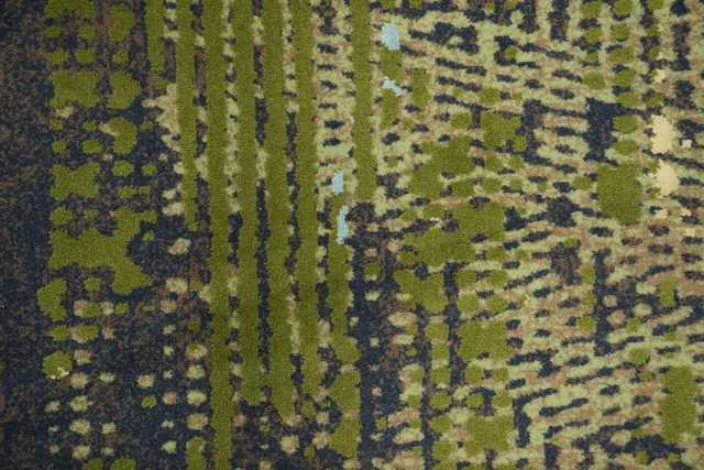 https://image-static-obj.rugsource.com/small/167170_3284205_869e574f.jpeg