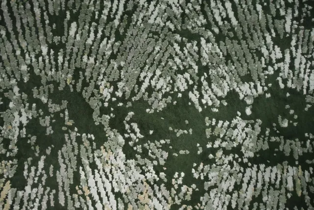 https://image-static-obj.rugsource.com/small/167265_3289434_2809a286.jpeg