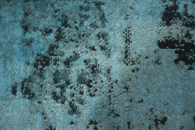 https://image-static-obj.rugsource.com/small/167275_3289500_e400ba62.jpeg