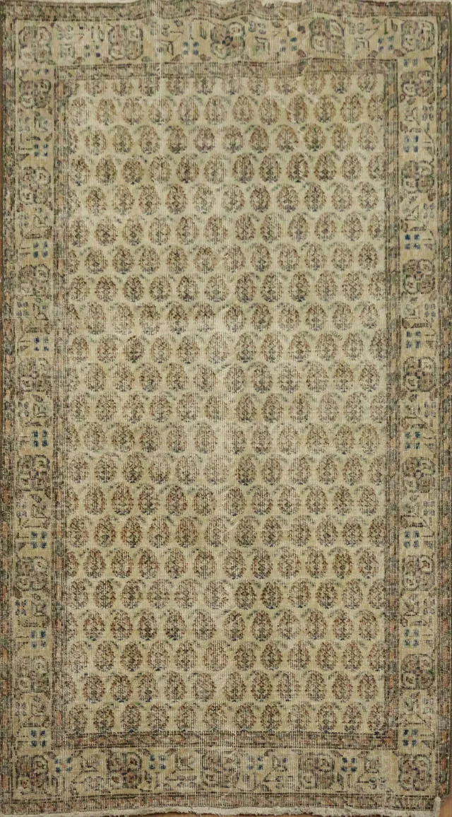 https://image-static-obj.rugsource.com/small/167588_3297780_041c4b2c.jpeg