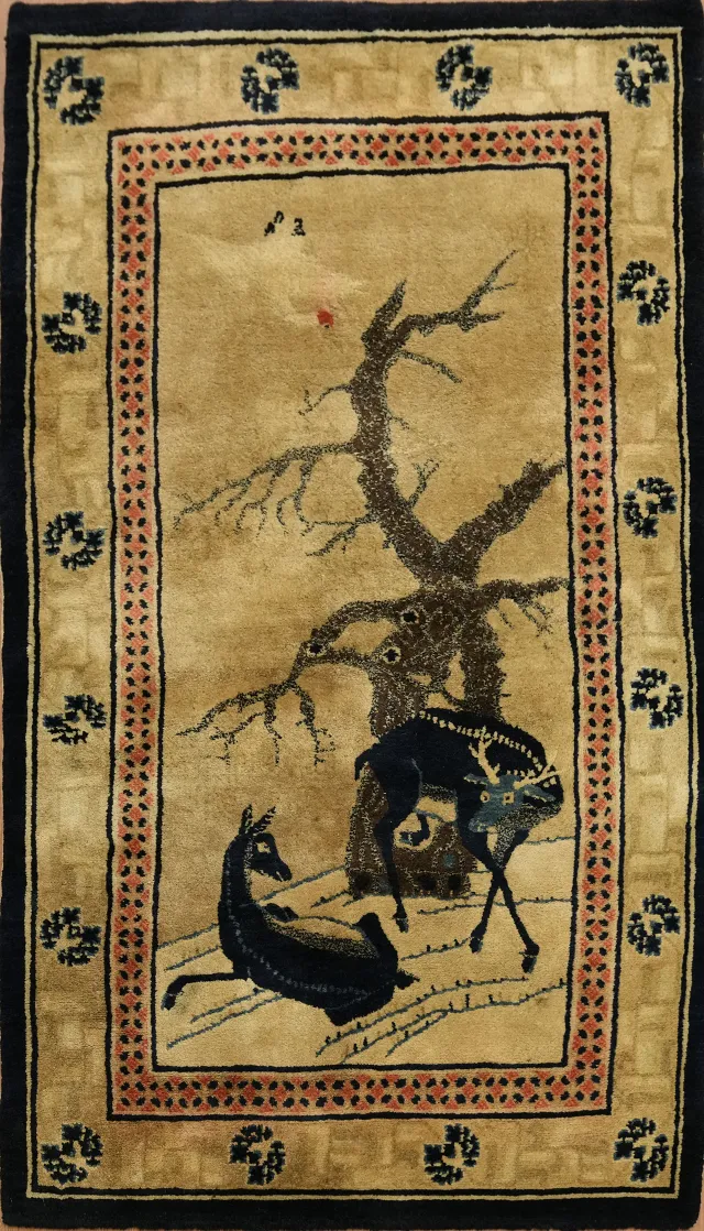 https://image-static-obj.rugsource.com/small/168040_3322690_9fbd232f.jpeg