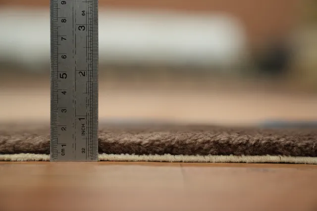 https://image-static-obj.rugsource.com/small/168259_3327281_757ea39a.jpeg