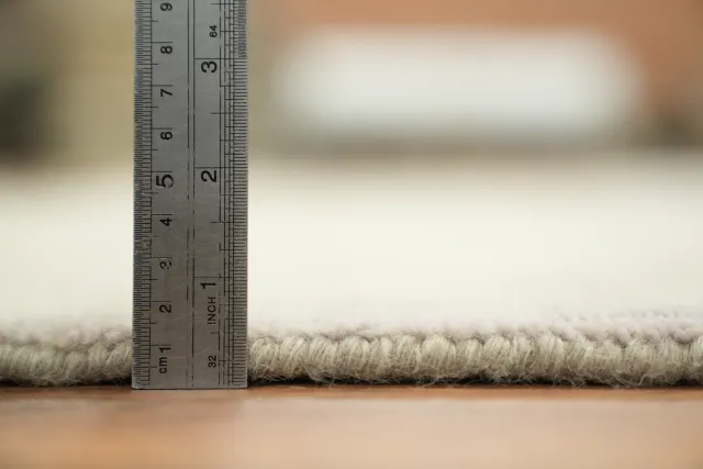 https://image-static-obj.rugsource.com/small/168286_3330459_5c17983c.jpeg