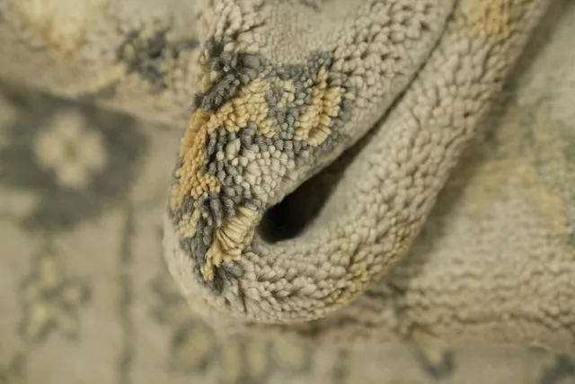 https://image-static-obj.rugsource.com/small/168513_3337399_b7114870.jpeg
