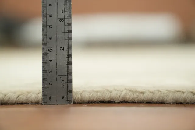 https://image-static-obj.rugsource.com/small/168847_3339486_c6babe49.jpeg