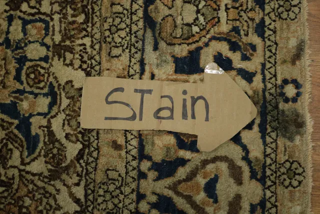 https://image-static-obj.rugsource.com/small/169037_3343494_54cf22dc.jpeg