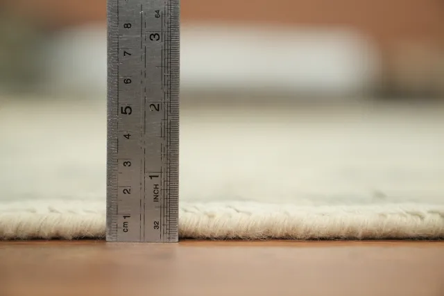 https://image-static-obj.rugsource.com/small/169194_3346484_39a13f5d.jpeg