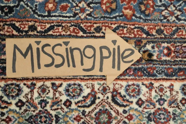 https://image-static-obj.rugsource.com/small/169388_3354376_aaccc0d5.jpeg