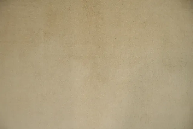 https://image-static-obj.rugsource.com/small/169418_3352187_7d0b31db.jpeg