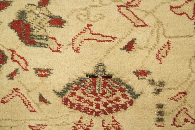 https://image-static-obj.rugsource.com/small/169972_3367988_6f22cc56.jpeg