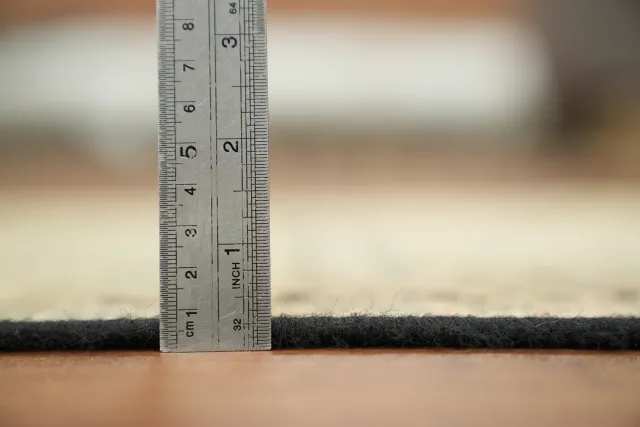 https://image-static-obj.rugsource.com/small/169999_3368653_b32dce43.jpeg