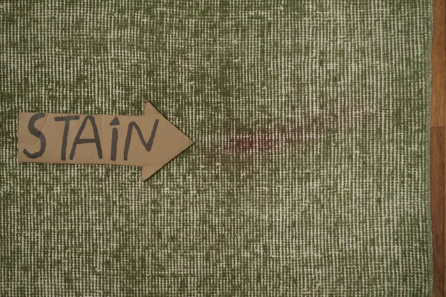 https://image-static-obj.rugsource.com/small/170044_3370131_5341245e.jpeg