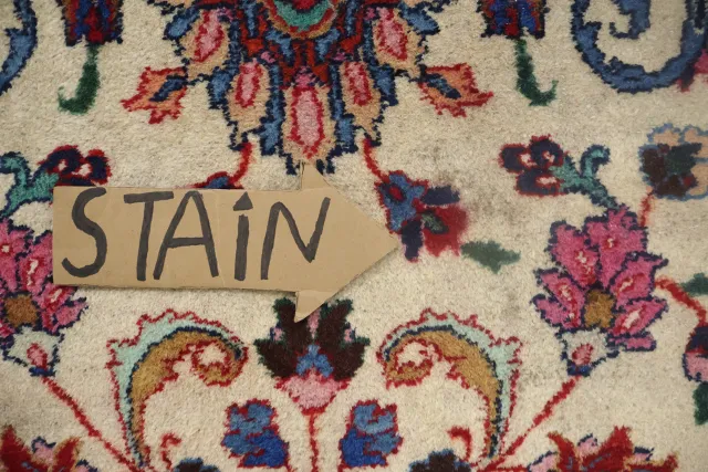 https://image-static-obj.rugsource.com/small/170151_3387681_9f84eb16.jpeg