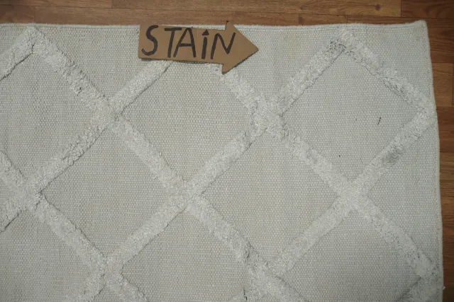 https://image-static-obj.rugsource.com/small/170174_3406681_4c8c45c5.jpeg