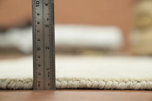 https://image-static-obj.rugsource.com/small/170344_3449991_708e2fe3.jpeg