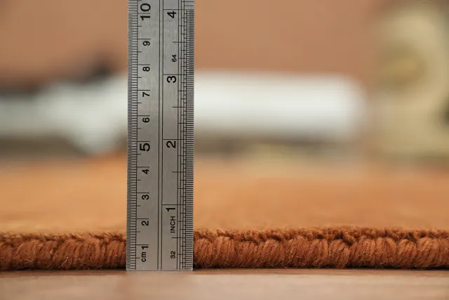 https://image-static-obj.rugsource.com/small/170366_3450408_92b4a519.jpeg
