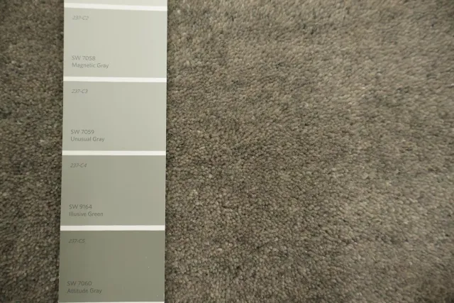 https://image-static-obj.rugsource.com/small/170495_3455376_c8633469.jpeg
