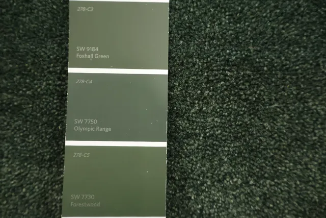 https://image-static-obj.rugsource.com/small/170733_3458917_eec6b076.jpeg