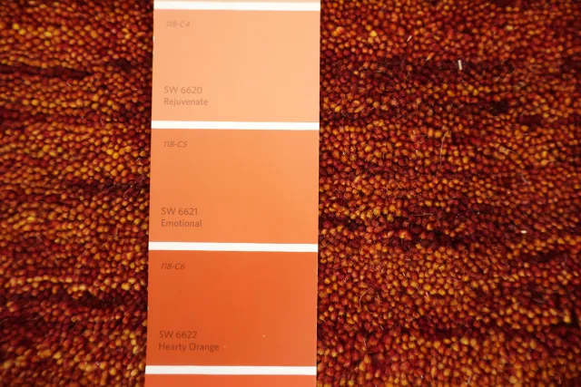 https://image-static-obj.rugsource.com/small/170759_3457893_940824c9.jpeg