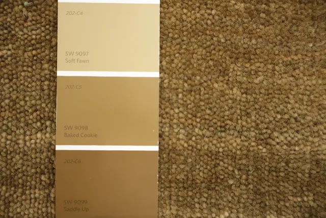 https://image-static-obj.rugsource.com/small/170828_3459123_6d47f078.jpeg