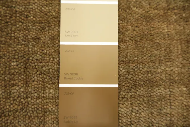 https://image-static-obj.rugsource.com/small/170831_3459173_ded1fdc8.jpeg