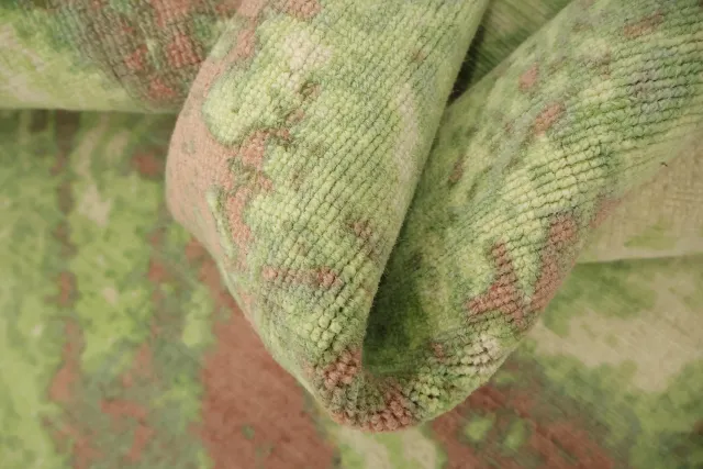 https://image-static-obj.rugsource.com/small/170937_3460382_a86beb00.jpeg