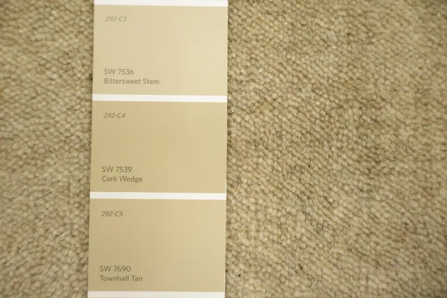 https://image-static-obj.rugsource.com/small/171167_3464066_9fb5175b.jpeg