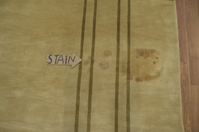 https://image-static-obj.rugsource.com/small/171413_3471290_06c1082f.jpeg