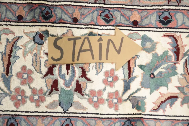 https://image-static-obj.rugsource.com/small/171690_3477791_8a26cf45.jpeg