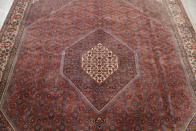 https://image-static-obj.rugsource.com/small/18844_387318_c02a4819.jpeg