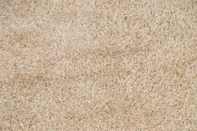 https://image-static-obj.rugsource.com/small/20229_1255462_9c58249c.jpeg