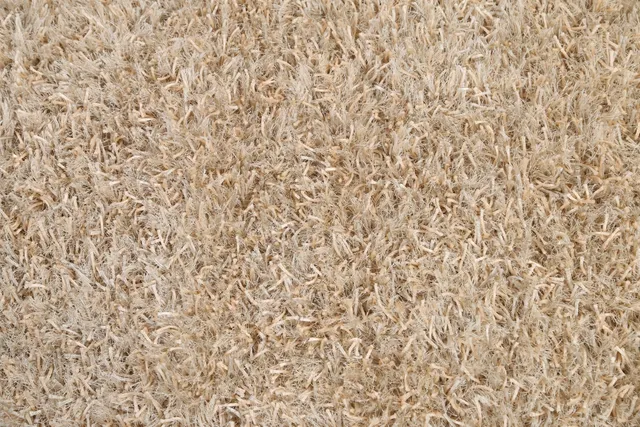 https://image-static-obj.rugsource.com/small/20229_1255467_a1d042a5.jpeg